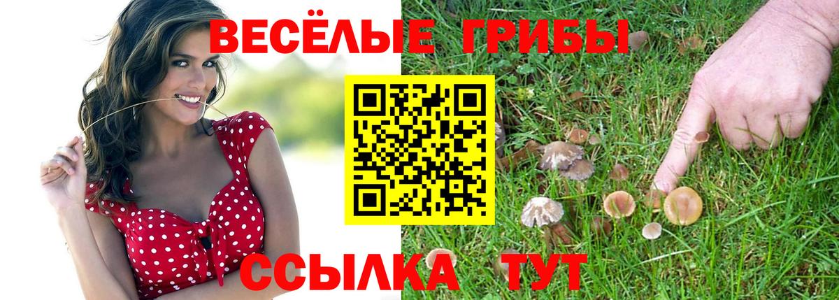 Рузаевка  Псилоцибиновые грибы прущие грибы  Вход с VPN 